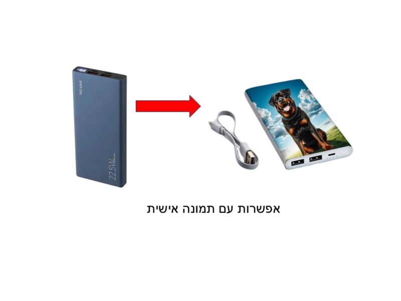 מטען נייד Wesdar S221 10000MAH 6971071746460