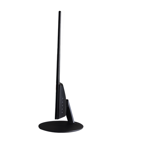 MAG 23.8" LED monitor F24IPSE