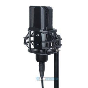 פופ-פילטר Pop Filter