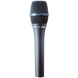 פופ-פילטר Pop Filter