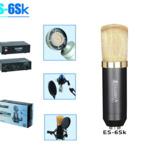 מיקרופון קונדנסר EALSEM ES-6S