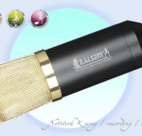 מיקרופון קונדנסר EALSEM ES-6S