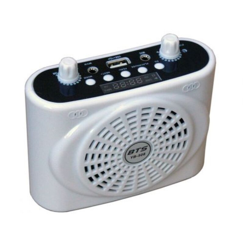 מערכת הגברה אישית BTS