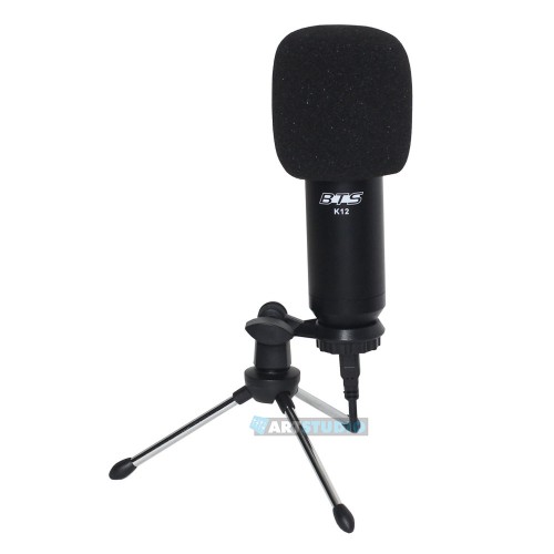 מיקרופון קונדנסנר USB