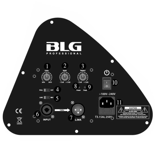 מוניטור במה 500W