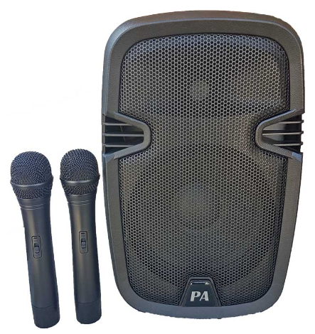 רמקול מוגבר PA-308