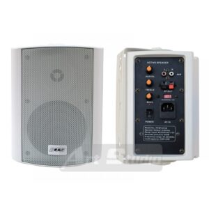 רמקול מוגבר BIEMA B-250