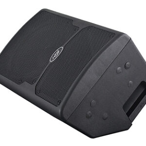 רמקול מוגבר PEAVEY PVXP10