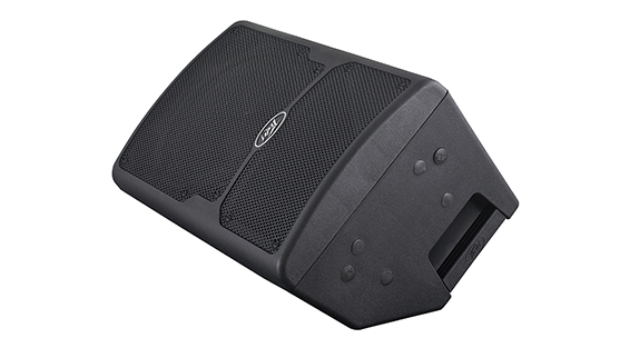 רמקול מוגבר PEAVEY PVXP10