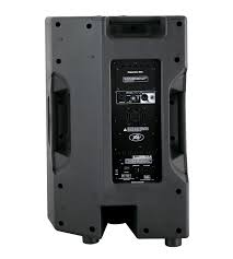 רמקול מוגבר PVXP-15