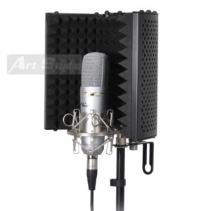 מסך אקוסטי למיקרופון הקלטה