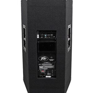 רמקול מוגבר PV115D / 1015D