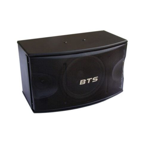 רמקול פסיבי עץ 8" BTS