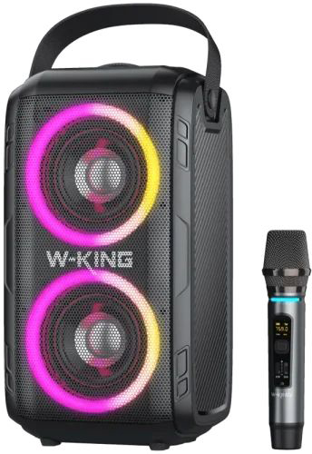 2 מיק+ בידורית W-KING T9-II 80W