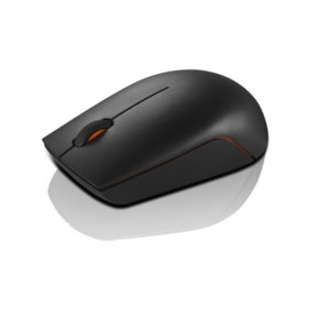 LENOVO MOUSE 300 COMPACT